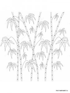 Bamboo coloring page 8 - Free printable