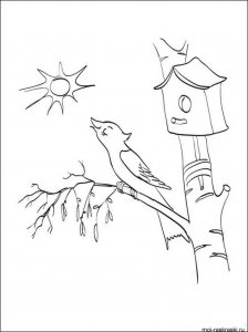 Birch coloring page 2 - Free printable