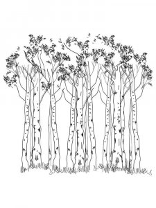 Birch coloring page 22 - Free printable