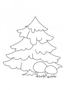 Fir Tree coloring page 18 - Free printable