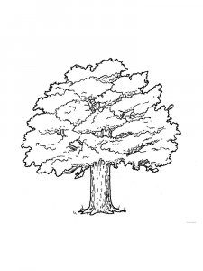Oak coloring page 18 - Free printable