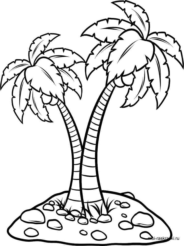 Palm Tree coloring pages for kids Free Printable Palm