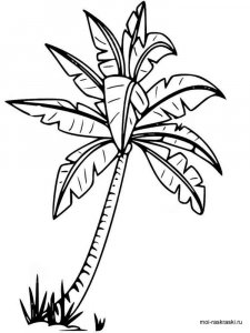 Palm coloring page 1 - Free printable