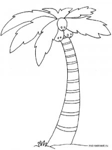 Palm coloring page 11 - Free printable