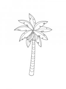 Palm coloring page 15 - Free printable
