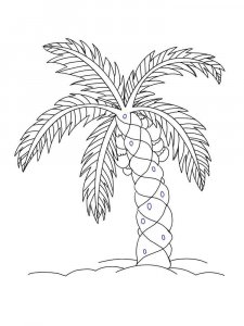 Palm coloring page 19 - Free printable