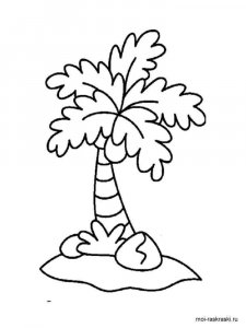 Palm coloring page 2 - Free printable
