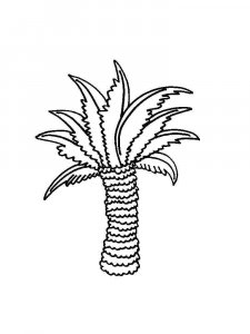 Palm coloring page 25 - Free printable
