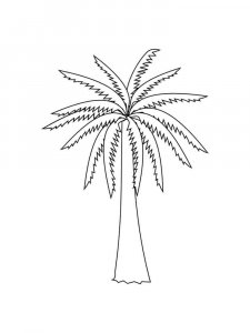 Palm coloring page 27 - Free printable