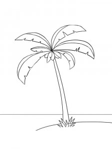 Palm coloring page 28 - Free printable