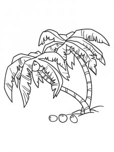 Palm coloring page 29 - Free printable
