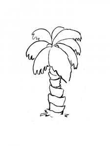 Palm coloring page 31 - Free printable