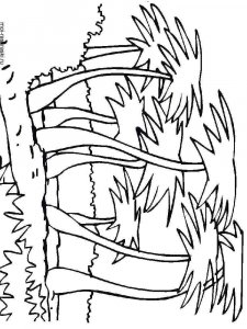 Palm coloring page 6 - Free printable