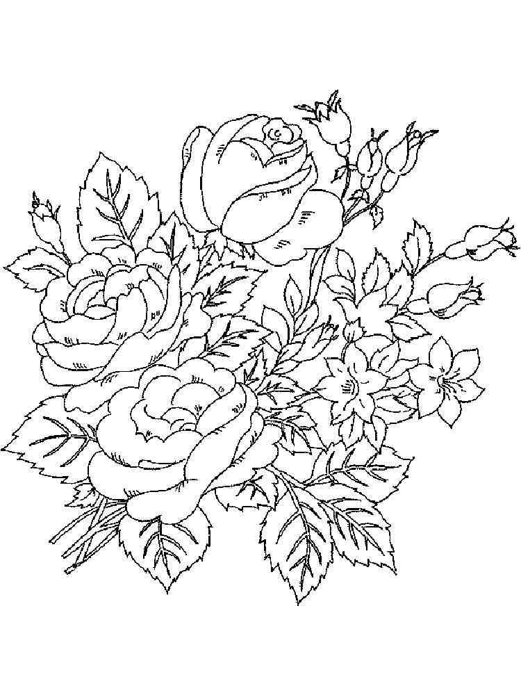 Flowers Coloring Pages For Adults Free Printable Flowers Coloring Pages