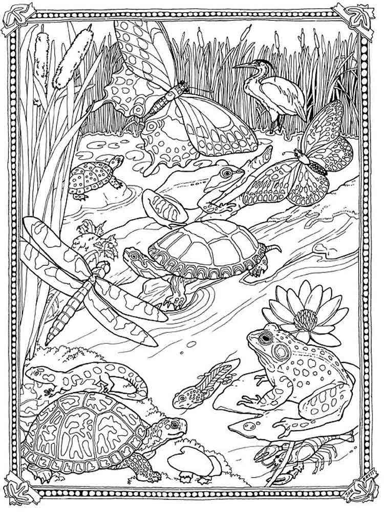 Detailed coloring pages for adults. Free Printable ...