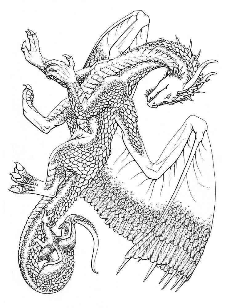 Free Dragon coloring pages for Adults. Printable to Download Dragon