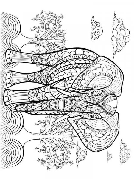 Elephant coloring pages for Adults