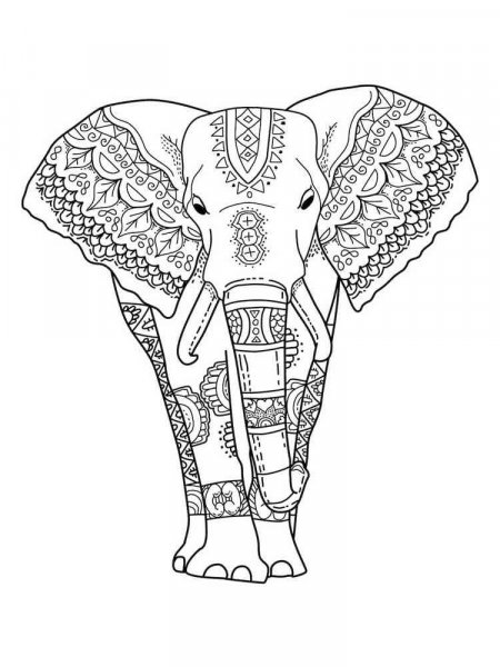 Elephant coloring pages for Adults