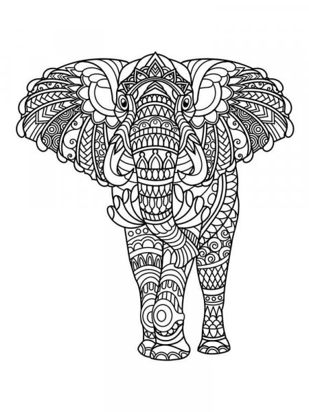 Elephant coloring pages for Adults