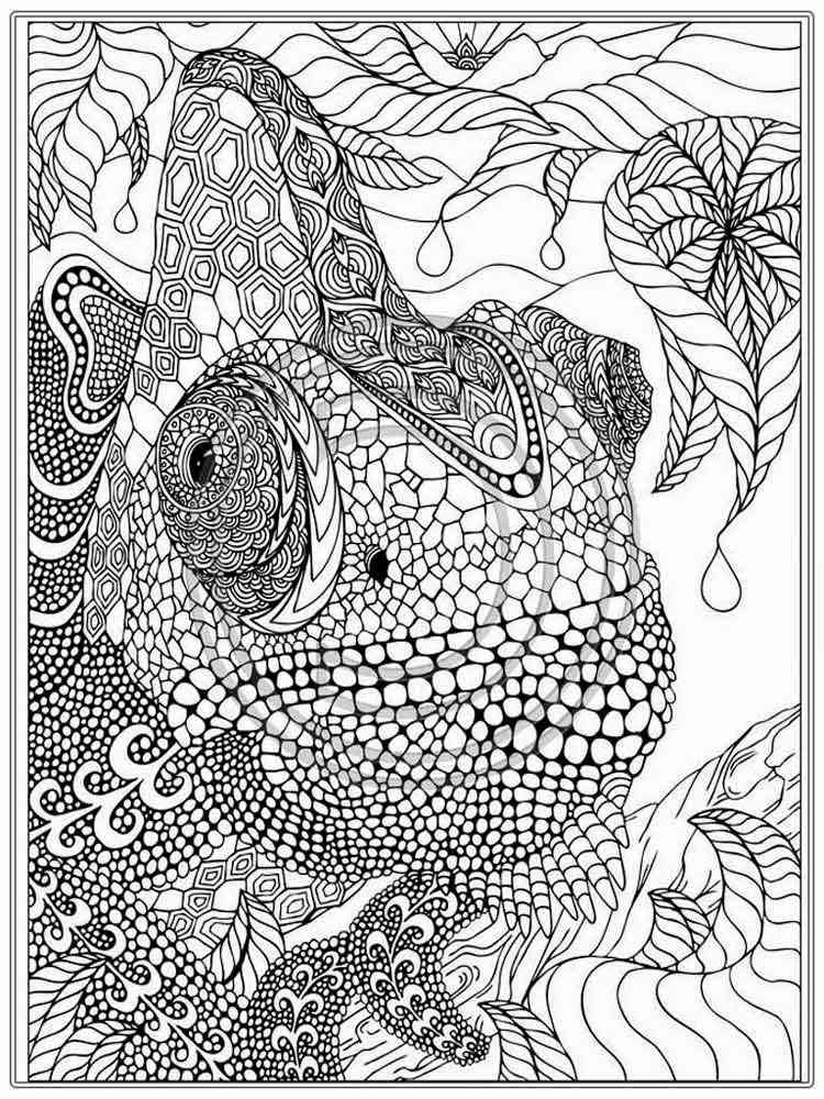 intricate-coloring-pages-for-adults