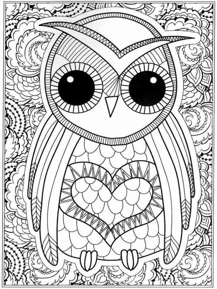 free printable adult coloring pages owl