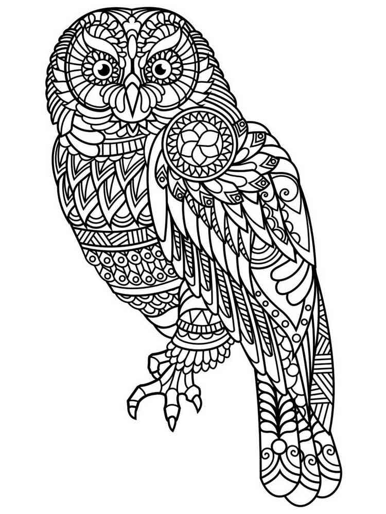 Free Owl coloring pages for Adults. Printable to Download ...