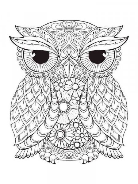 Owl coloring pages for Adults