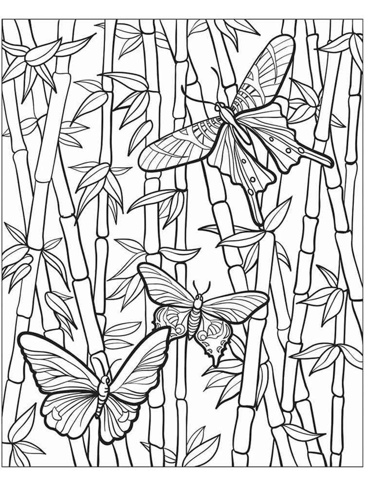 Download Zentangle Bamboo coloring pages for Adults