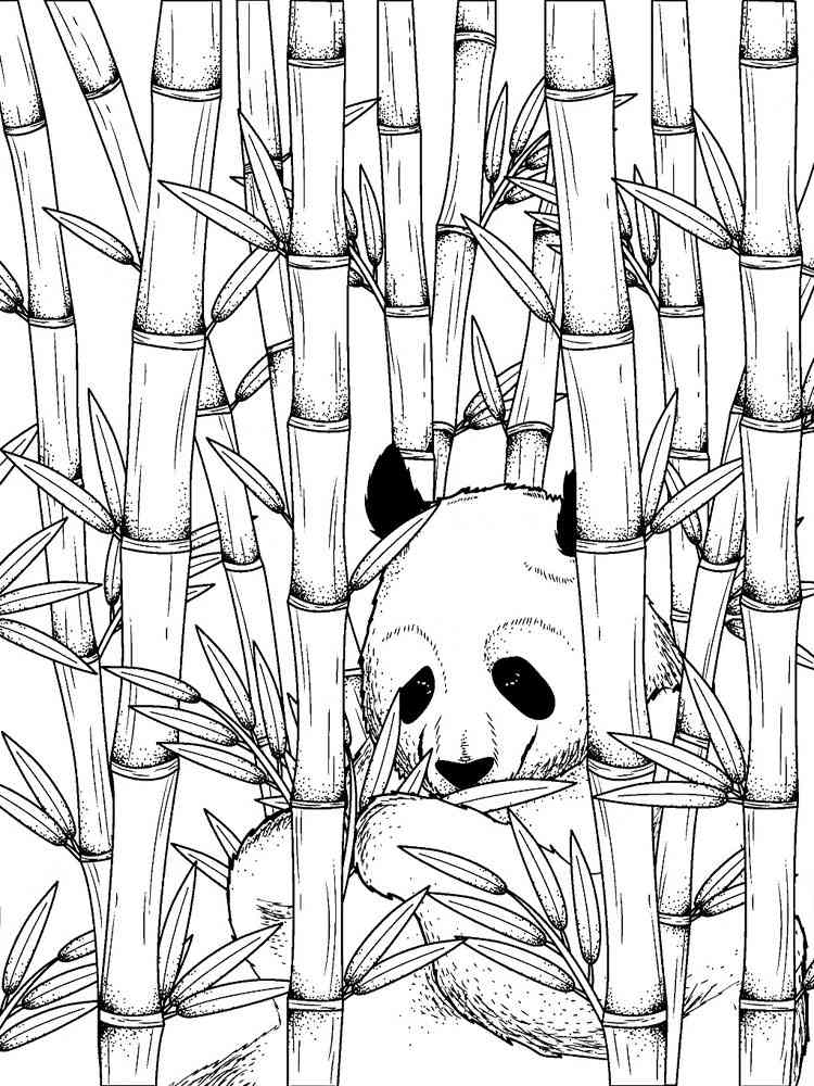 Zentangle Bamboo  coloring  pages for Adults