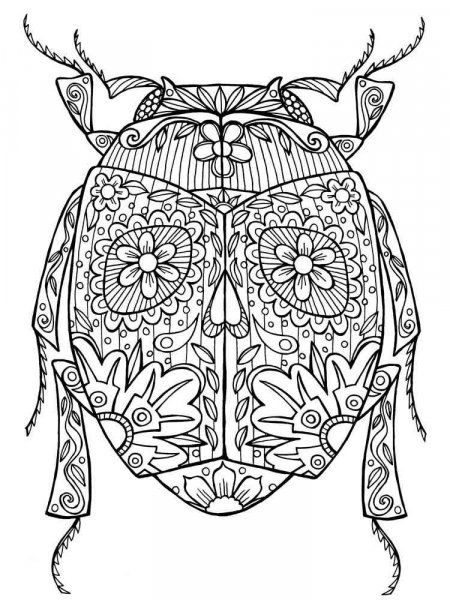 Beetle coloring pages for Adults