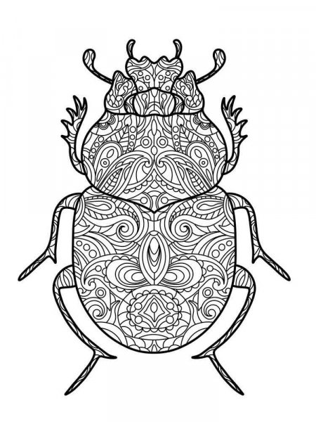 Beetle coloring pages for Adults