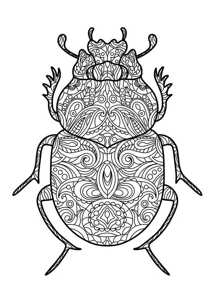 beetle coloring pages