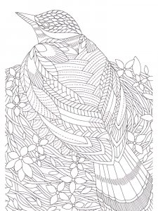 Zentangle Birds Coloring Pages 8
