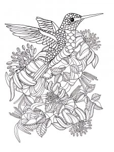 Zentangle Birds Coloring Pages 9