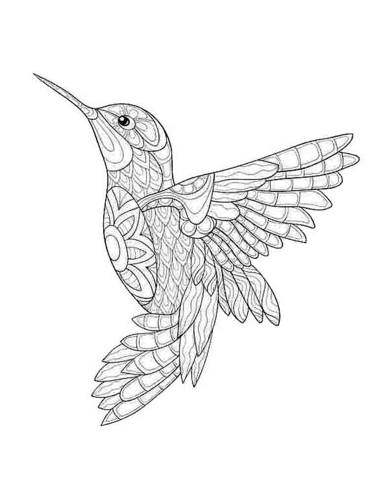 Download Zentangle Birds coloring pages for Adults