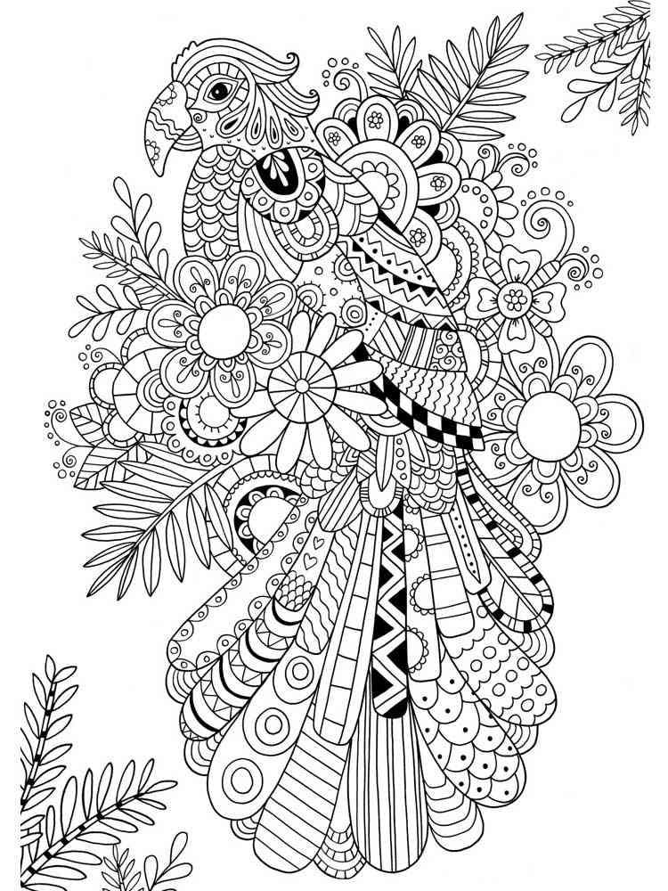 Zentangle Birds coloring pages for Adults