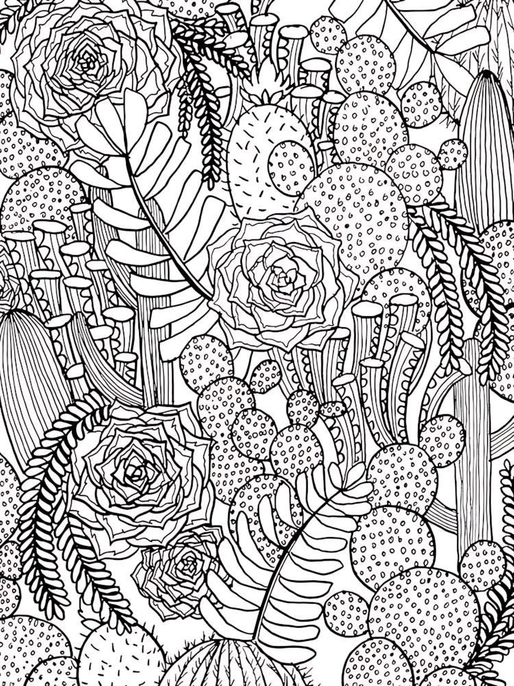 Zentangle Cactus Coloring Pages For Adults