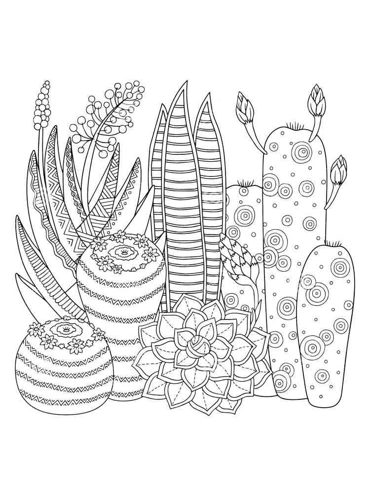 Cactus coloring pages for Adults