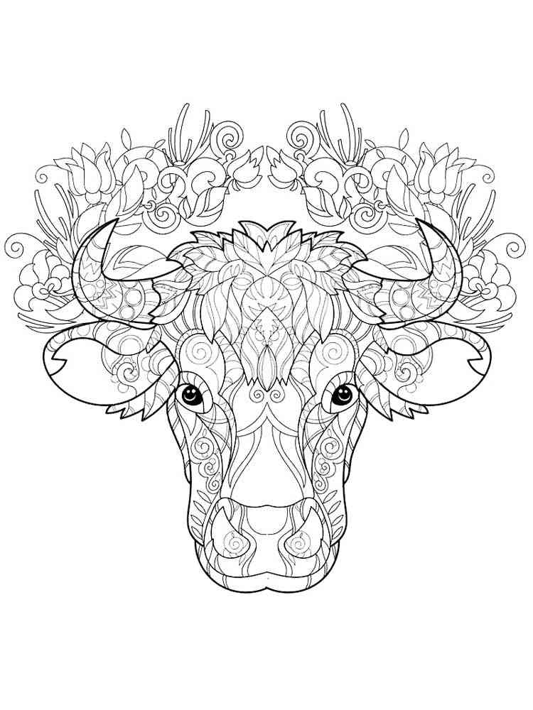 coloring pages of cows free printable