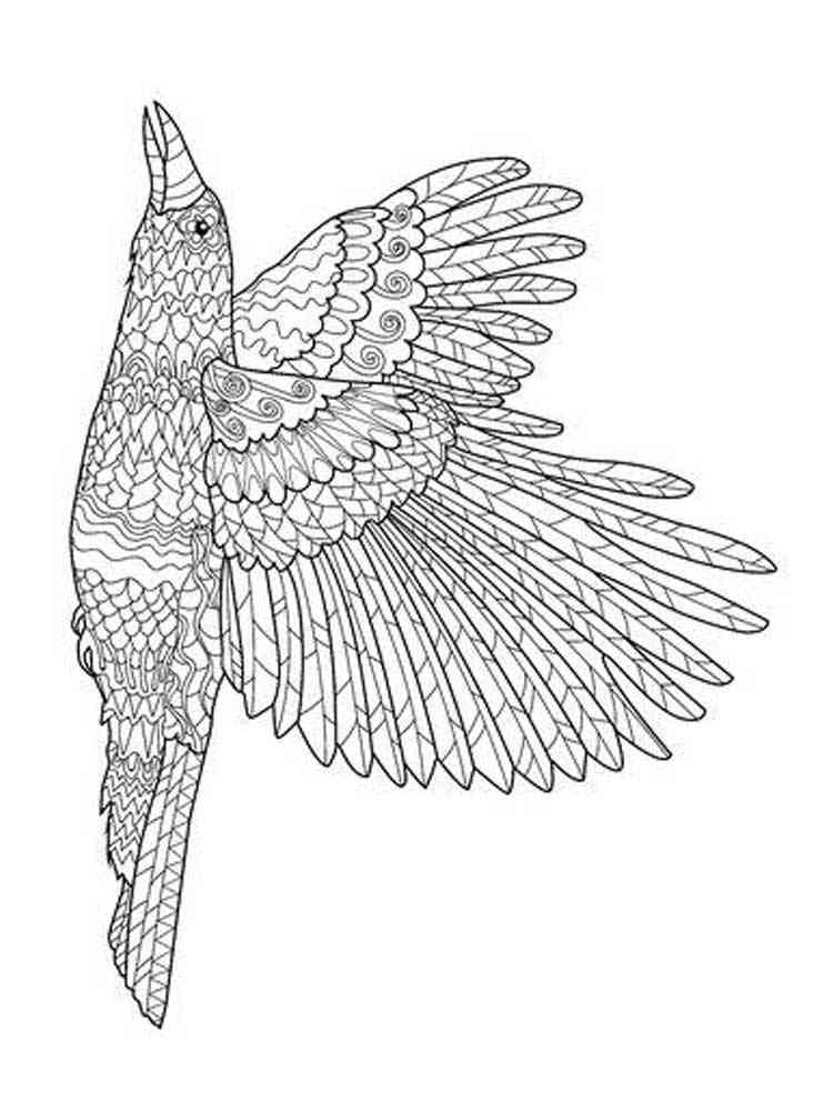 Download Zentagle Crow coloring pages for Adults