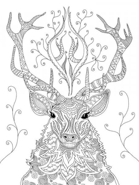 Deer coloring pages for Adults