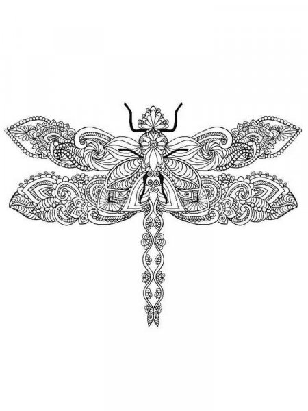 Dragonfly coloring pages for Adults