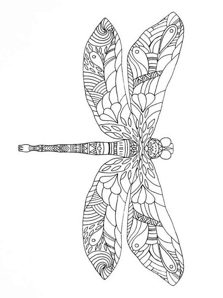 44+ Dragonfly Coloring Pages For Adults Images