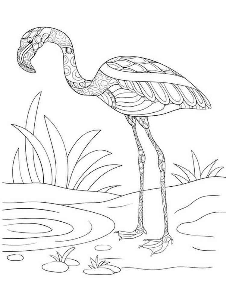 Download Zentagle Flamingo Coloring Pages For Adults