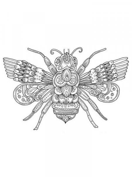 Fly Coloring Pages For Adults