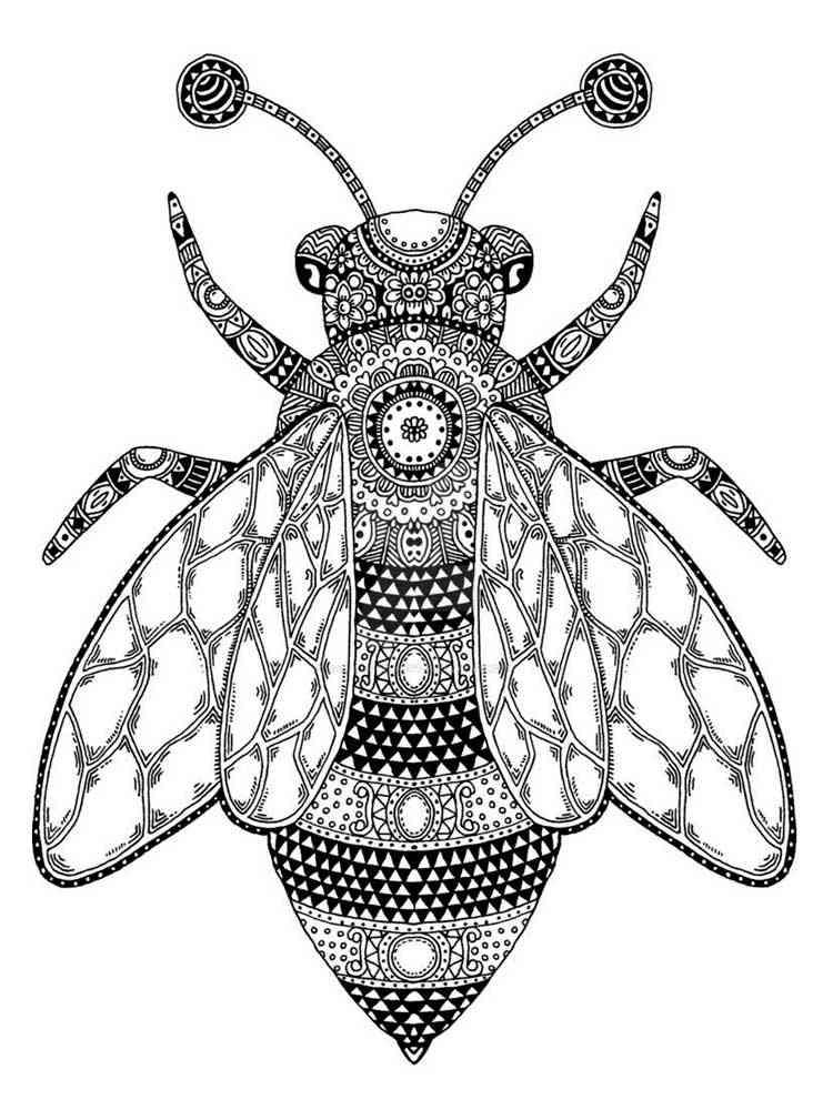 Zentagle Fly coloring pages for Adults