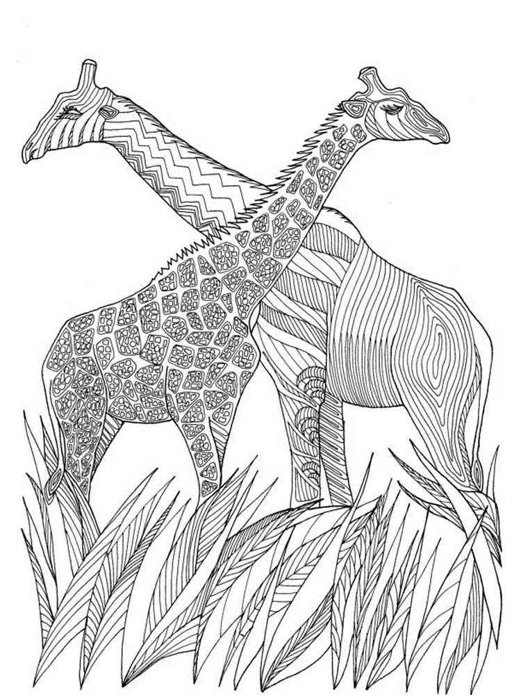 Download Zentagle Giraffe coloring pages for Adults