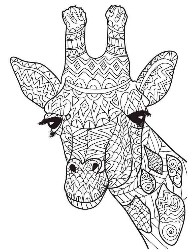 Coloring Pages Giraffe Zentangle - nickyryan