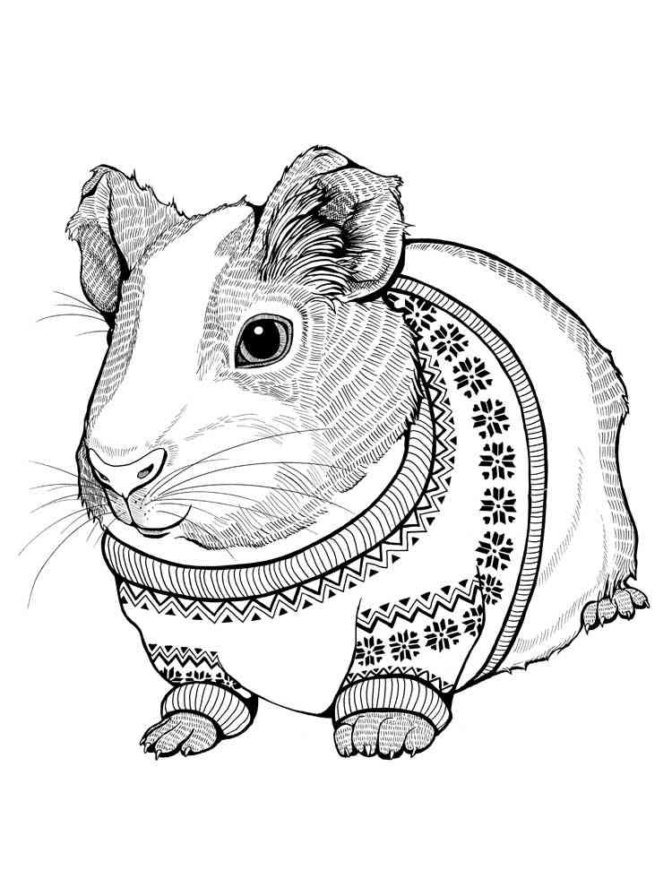 Zentagle Hamster coloring pages for Adults