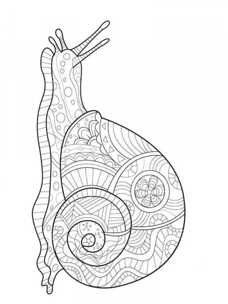 Insect coloring pages for Adults